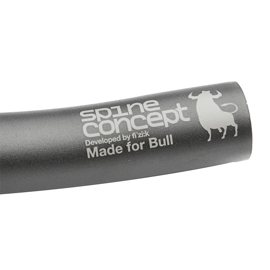 fizik cyrano r3 bull